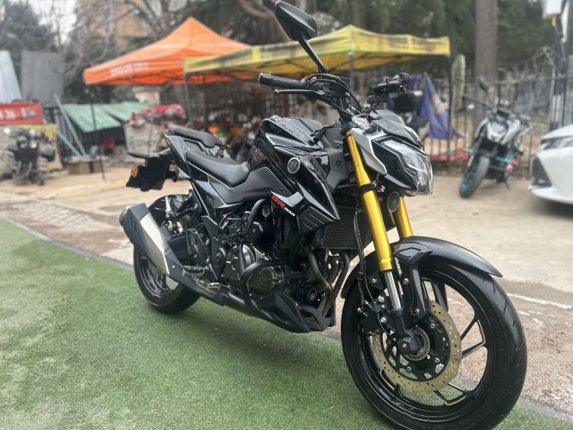 豪爵 DR300