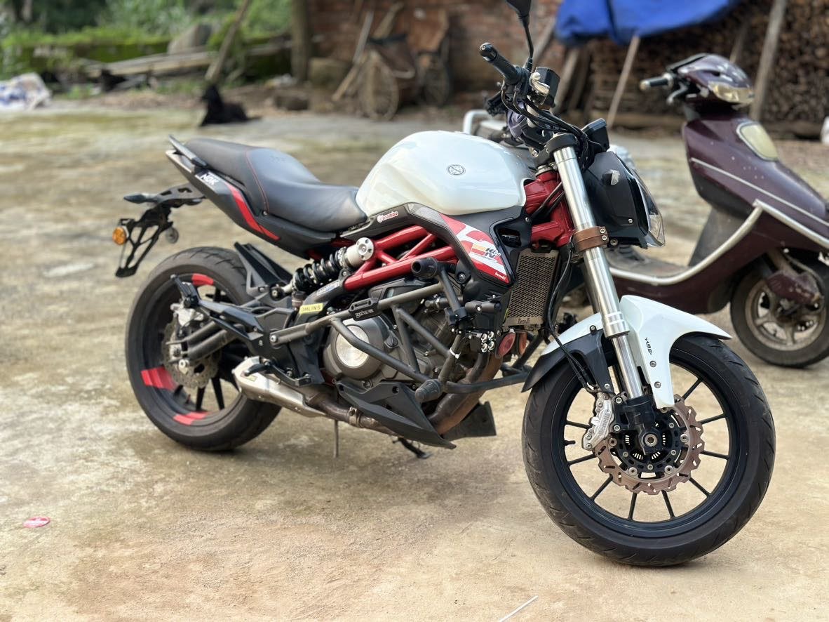 贝纳利 蓝宝龙 BN302S