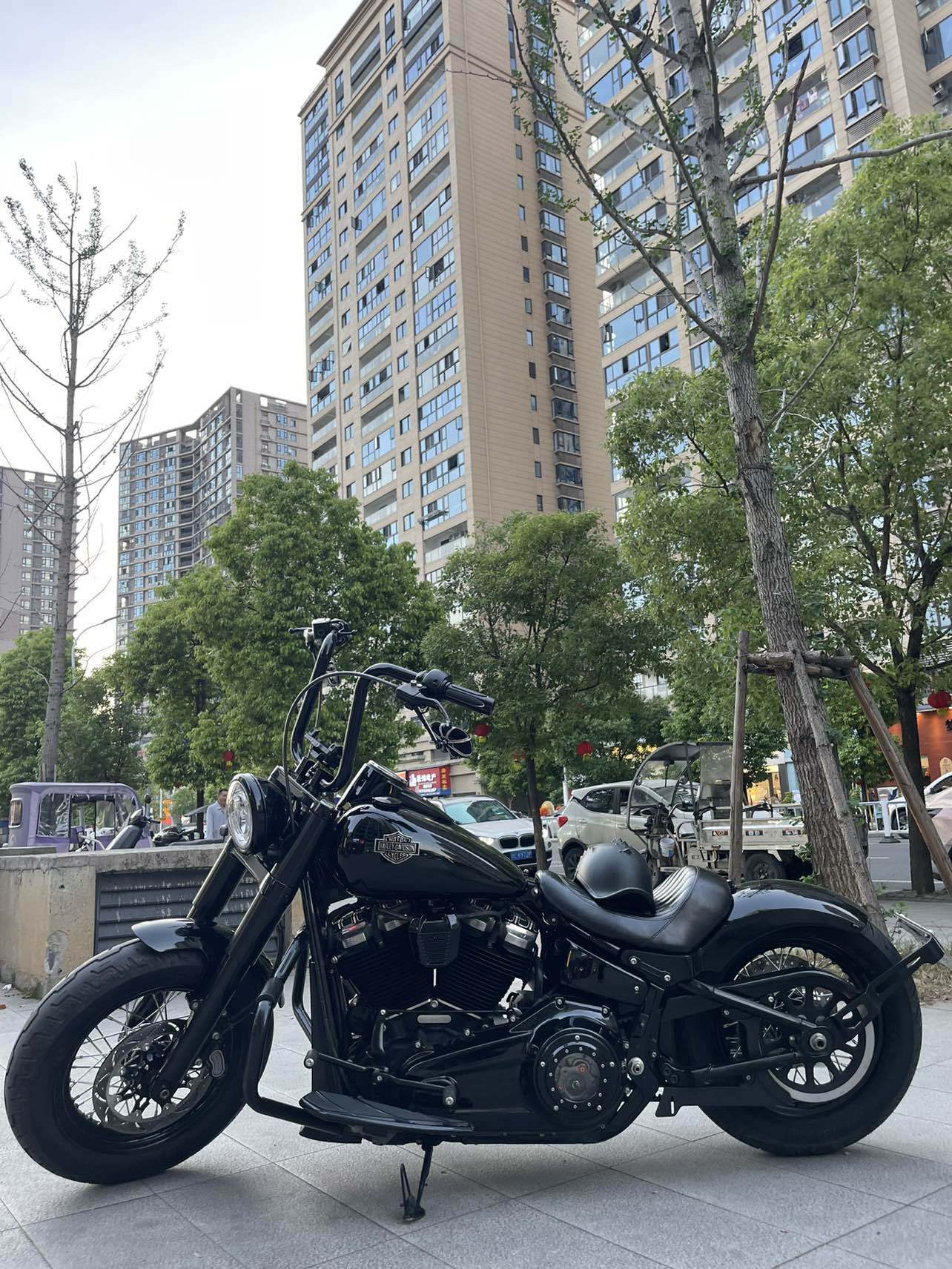 哈雷戴维森 软尾司令Softail Slim