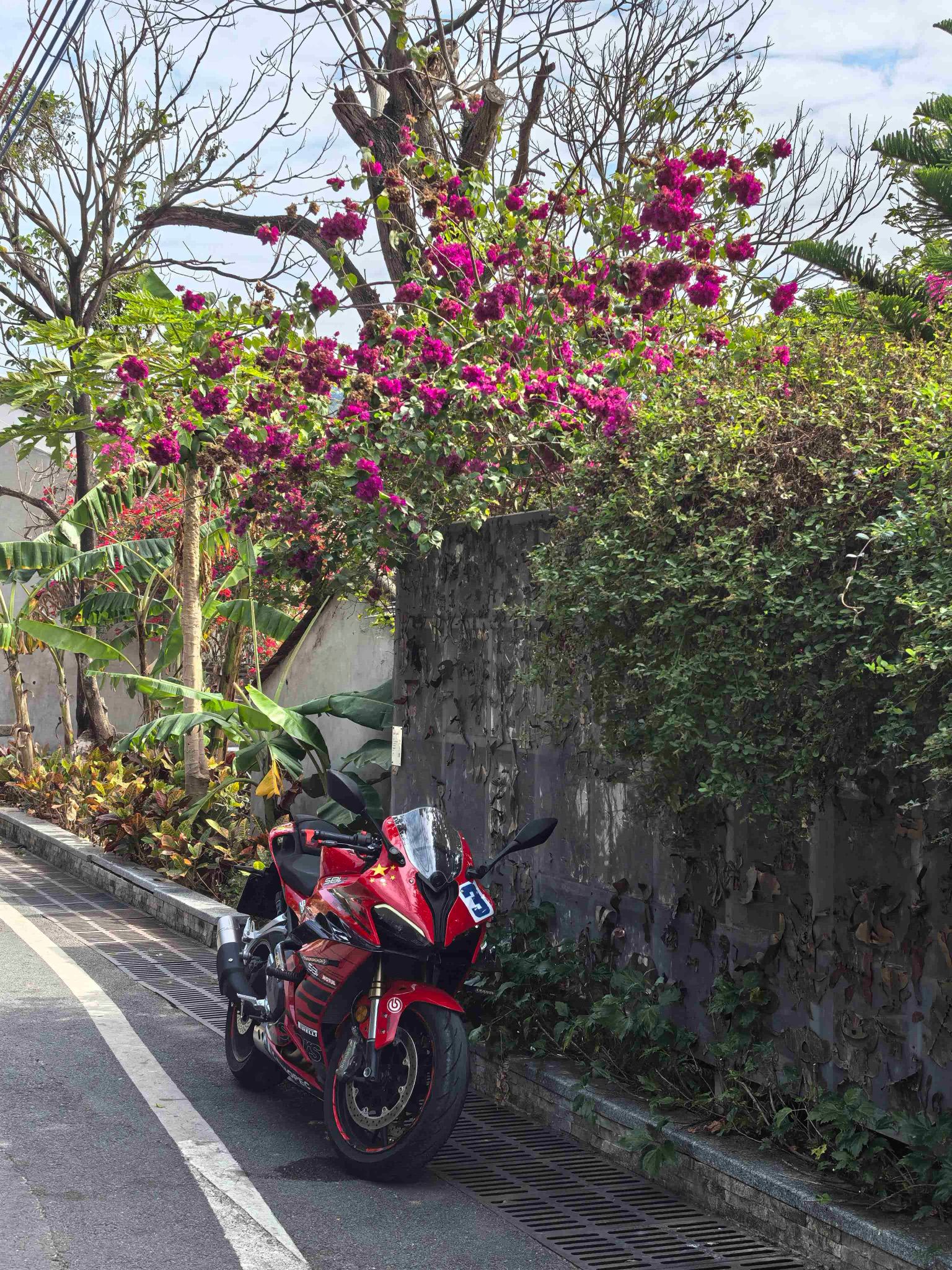 QJMOTOR 赛600