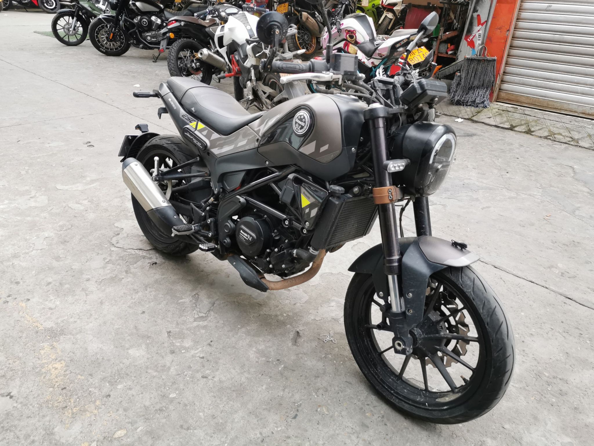 贝纳利 幼狮 Leoncino 250