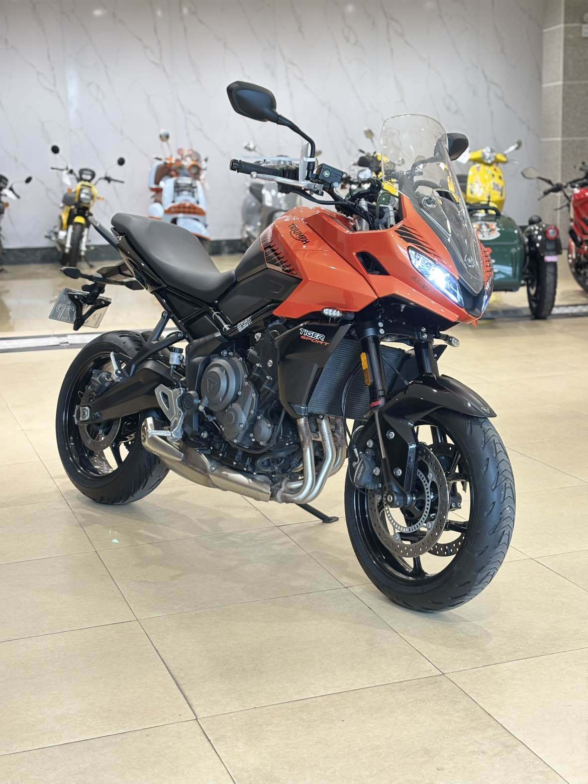 凯旋 Tiger Sport 660
