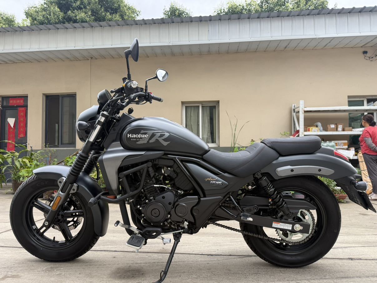 豪爵 TR300