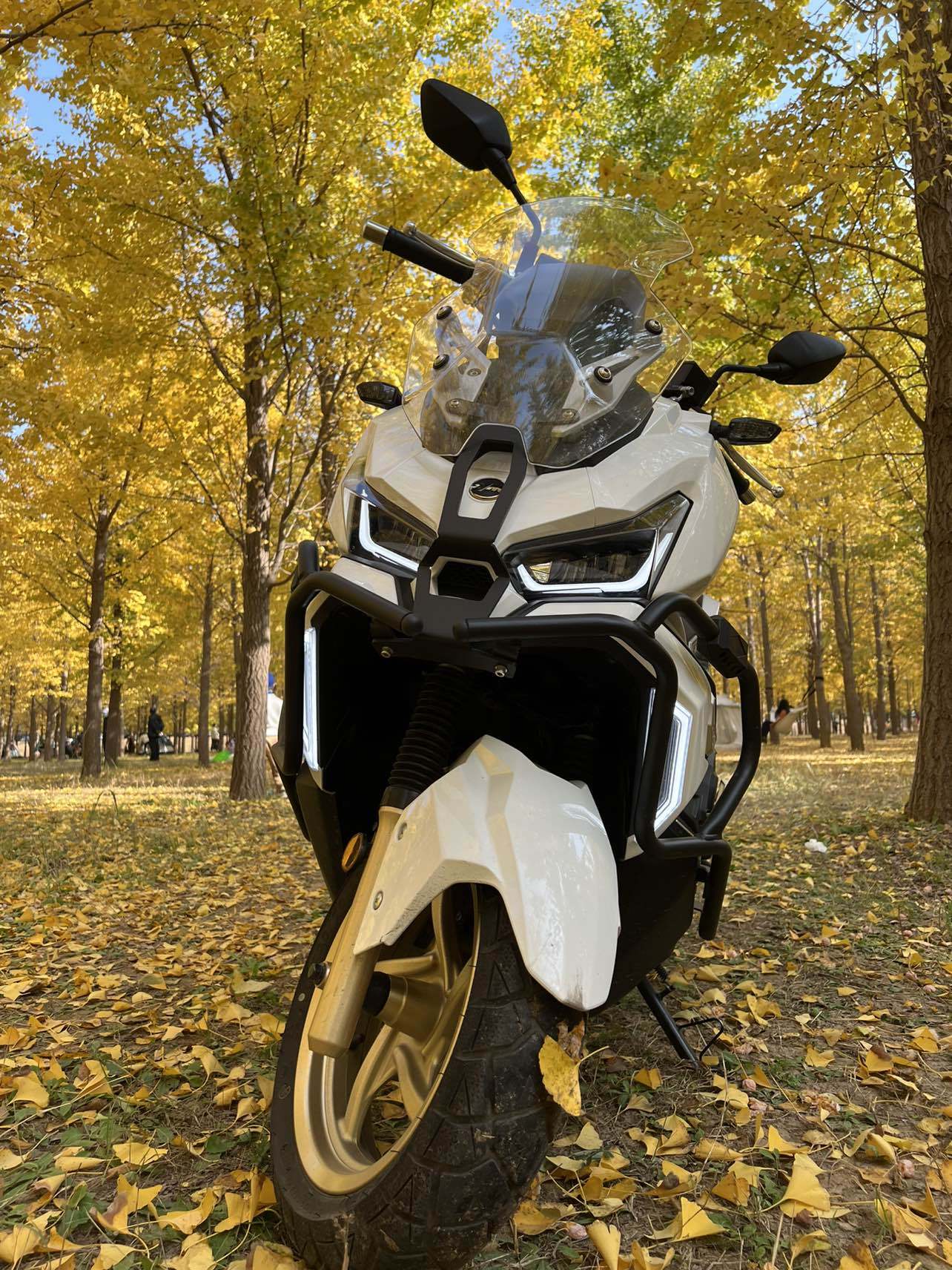 SYM三阳 Husky ADV 150