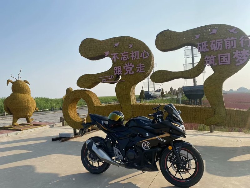 豪爵铃木 GSX250R