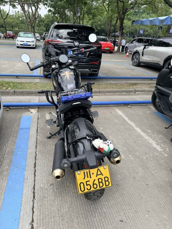 赛科龙 RA600