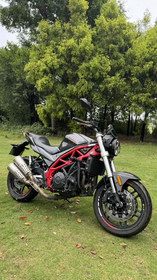 赛科龙 RZ3S