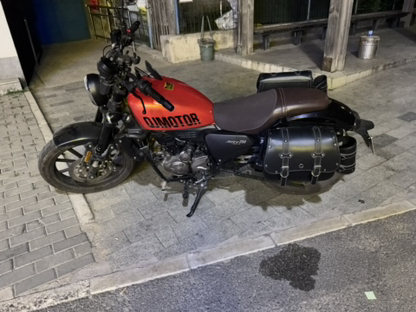 QJMOTOR 闪250