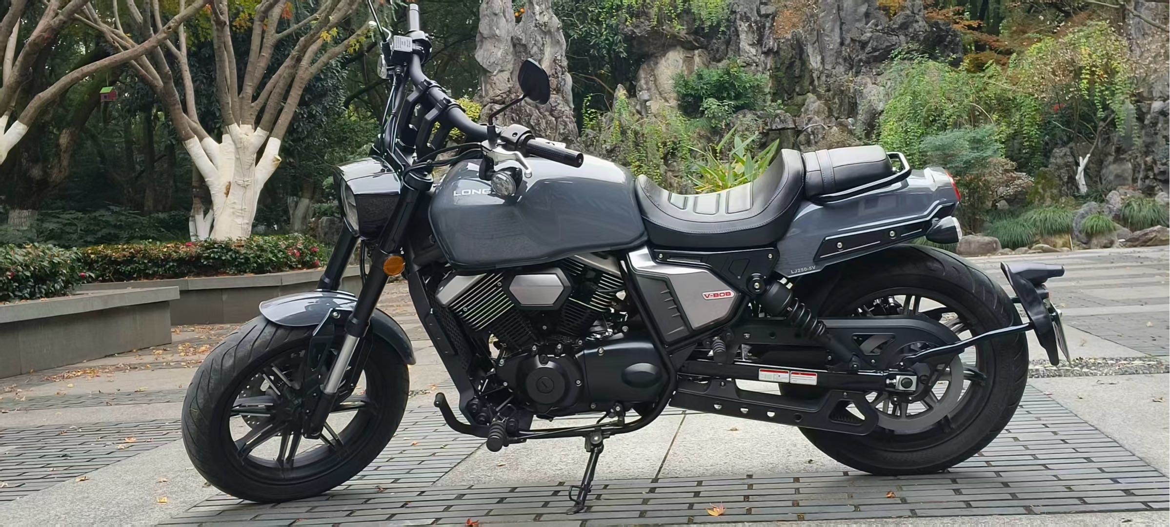 龙嘉 V霸250