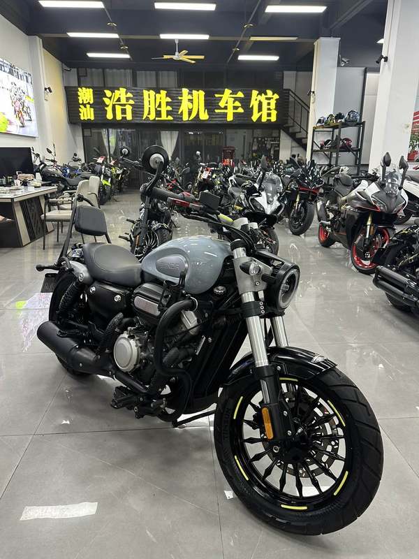 奔达 金吉拉300