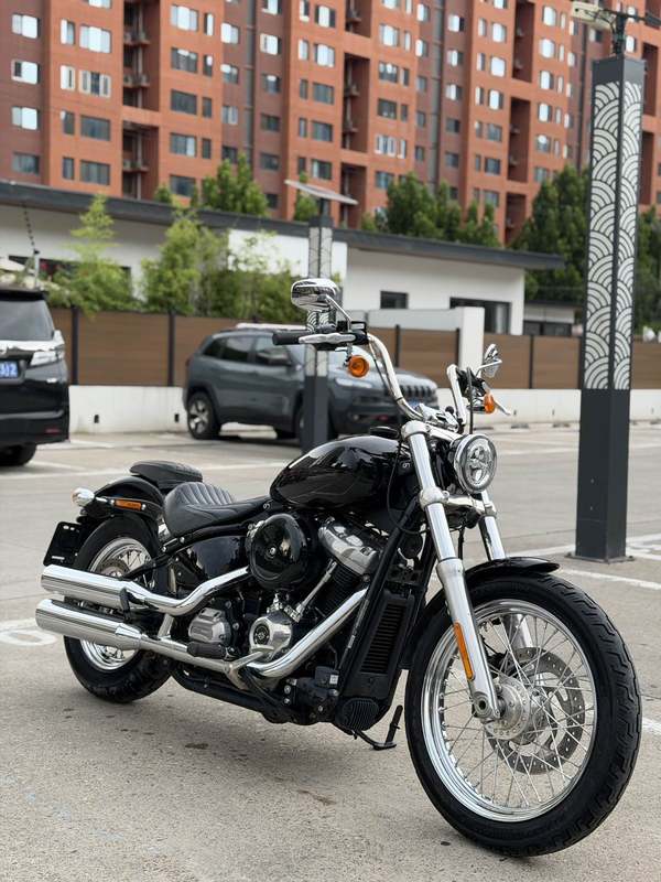 哈雷戴维森 Softail Standard