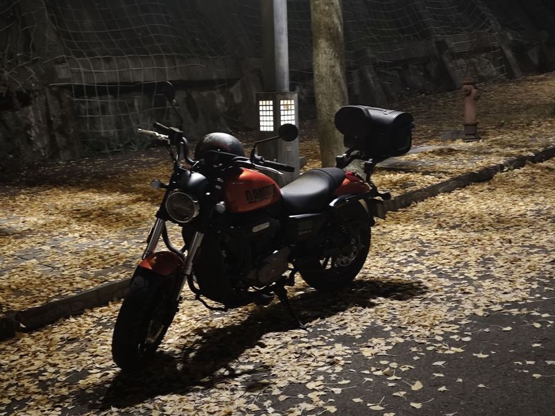 QJMOTOR 闪300S