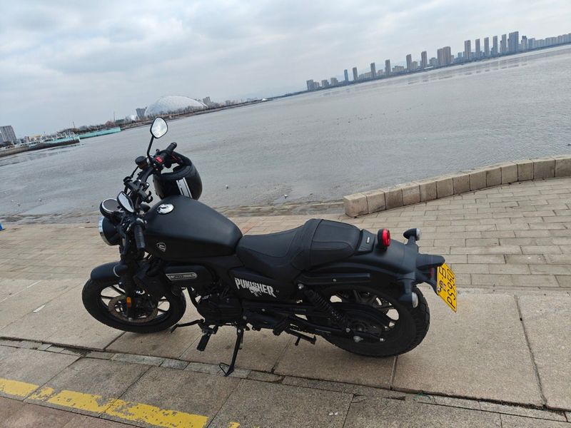 赛科龙 RA250