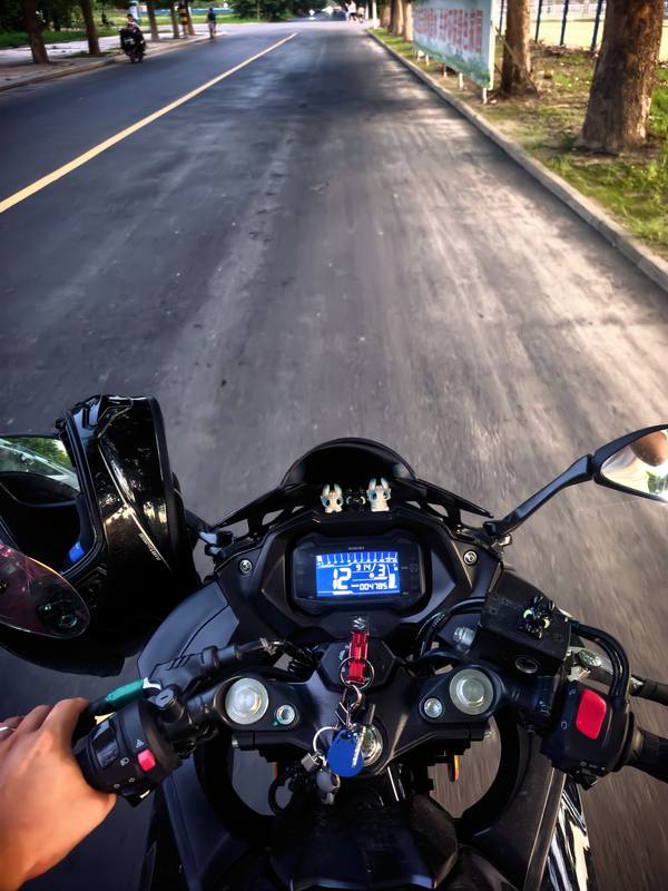 豪爵铃木 GSX250R