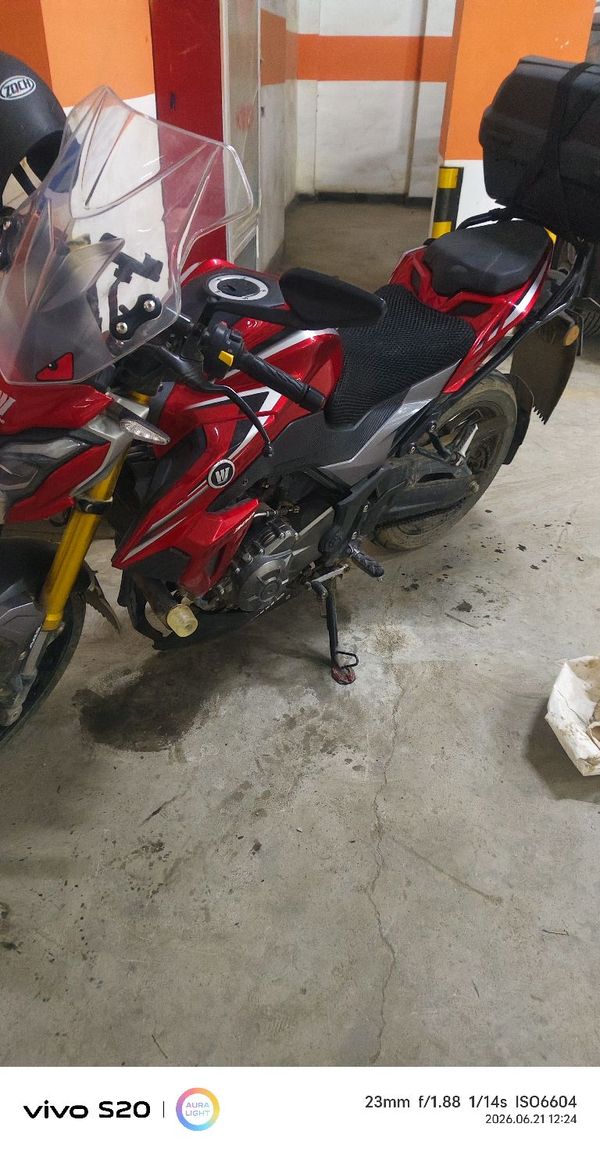 豪爵 DR300