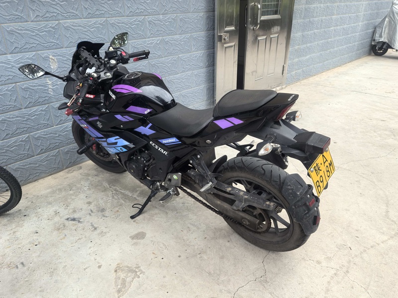 豪爵铃木 GSX250R