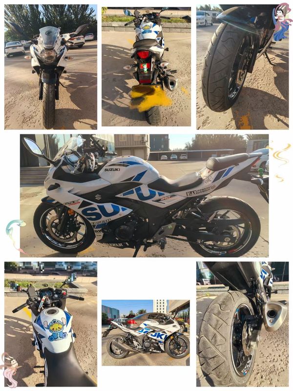 豪爵铃木 GSX250R