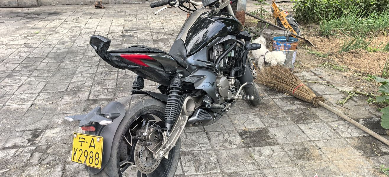 升仕 310V