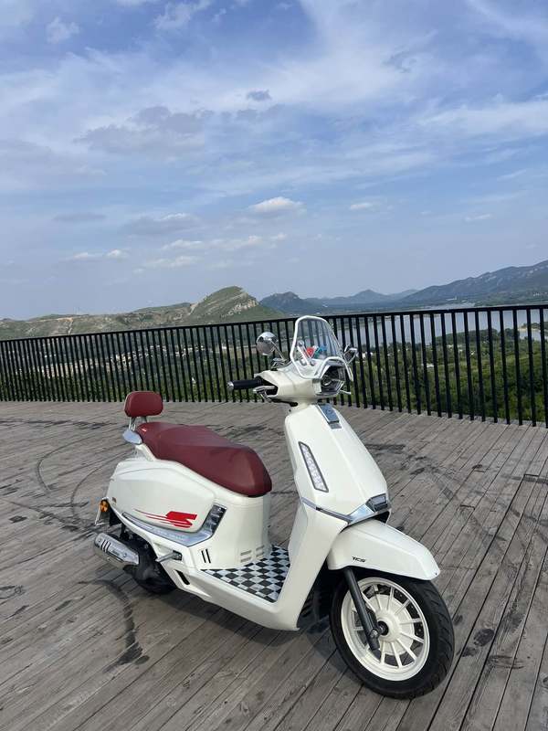 QJMOTOR 阳光迪诺