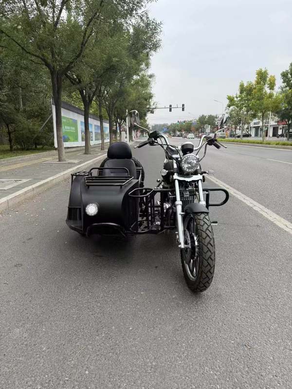 大地鹰王 大太子边三轮 DD400B