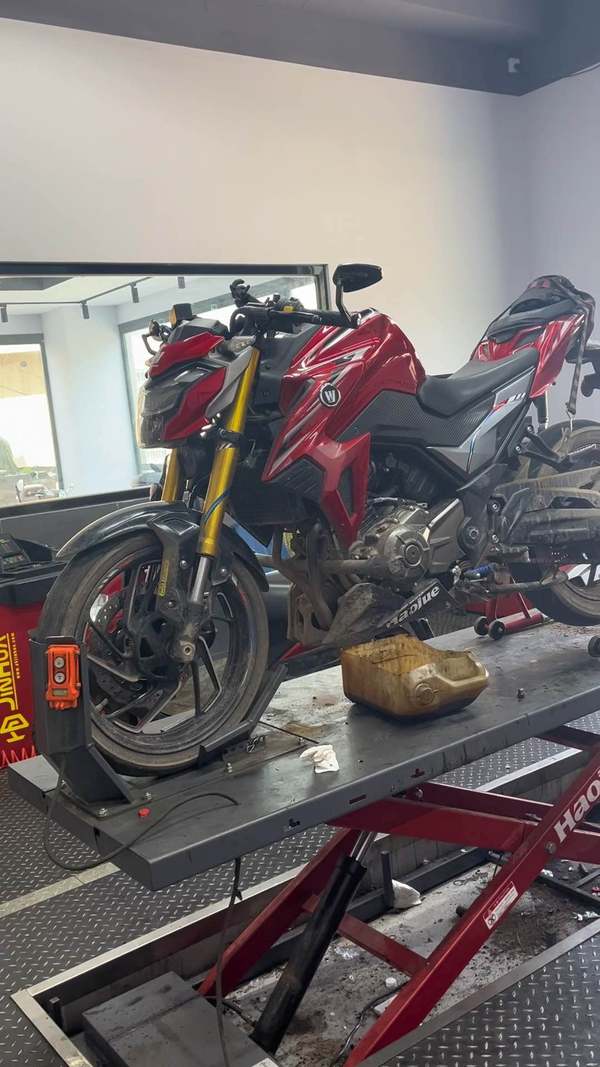 豪爵 DR300