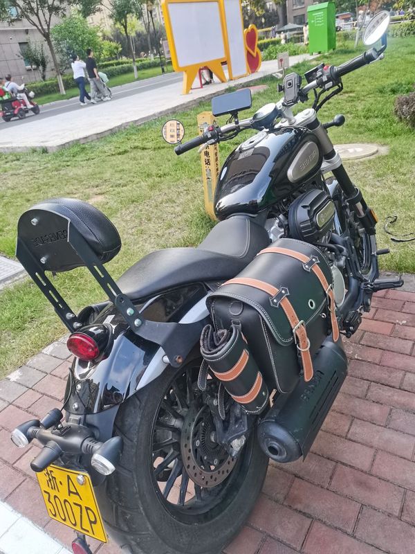 奔达 金吉拉300