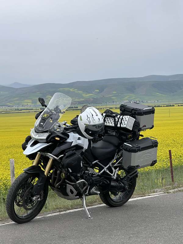 凯旋 Tiger 1200