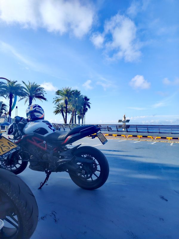 贝纳利 蓝宝龙 BN302S