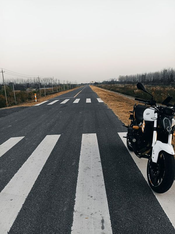 贝纳利 蓝宝龙 BN302S