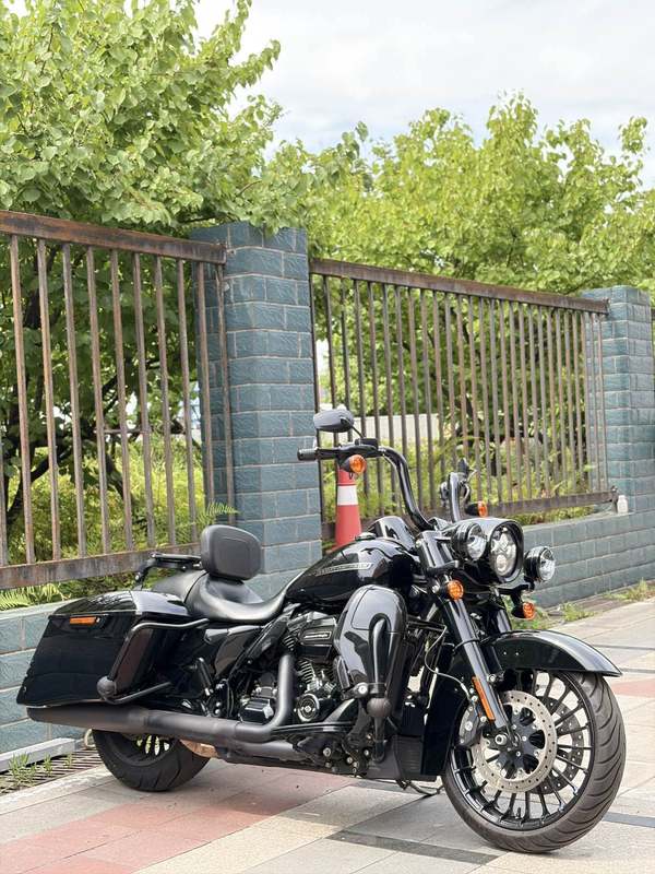 哈雷戴维森  路王定制版 Road King Special