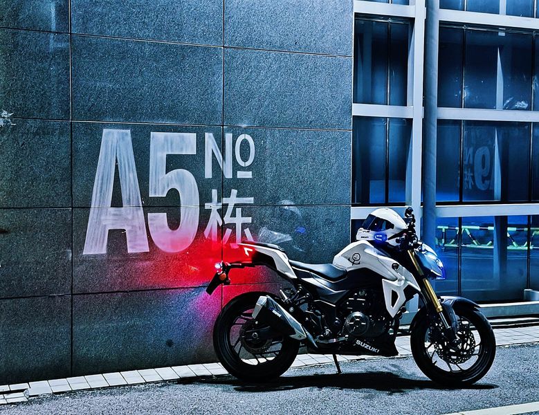 豪爵 DR300