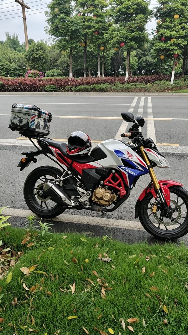 新大洲本田 CBF190R
