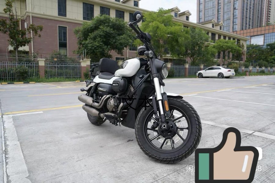 MOTOFINO 小马300