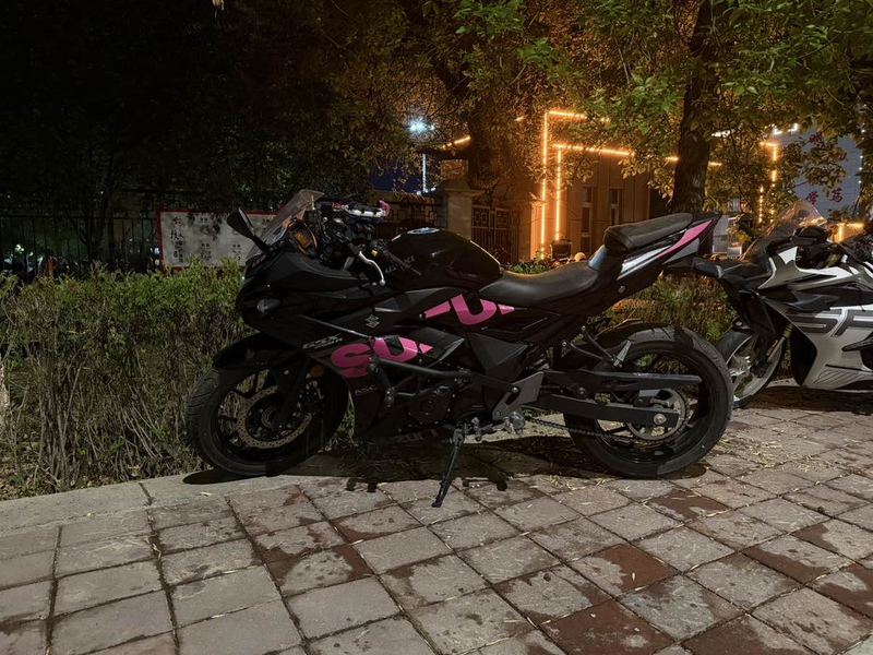 豪爵铃木 GSX250R