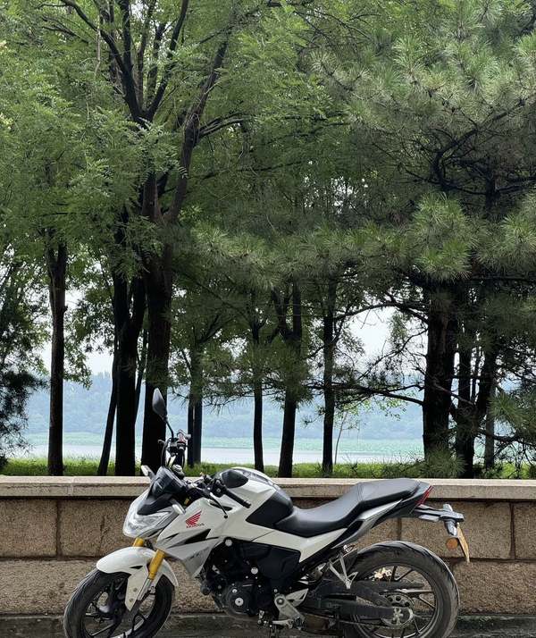 新大洲本田 CBF190R