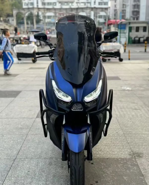 力帆 蓝鲟
