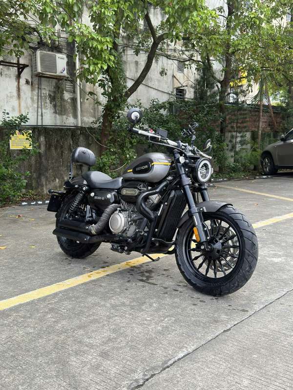 奔达 金吉拉300