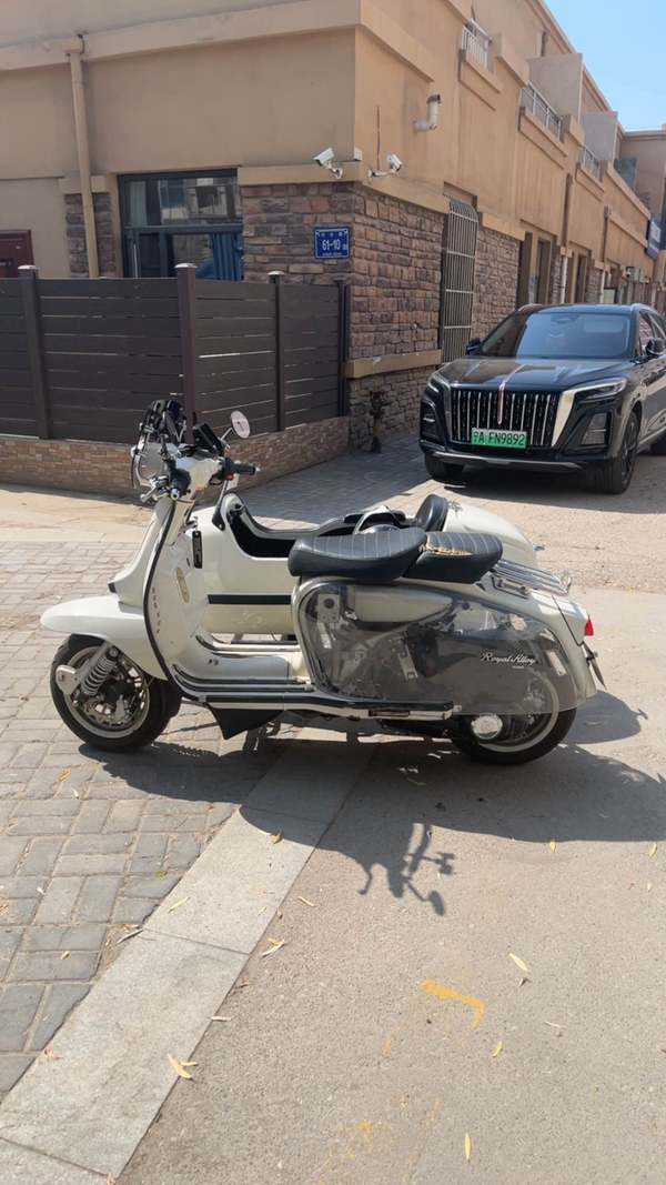 ROYAL ALLOY GP250 Sidecar