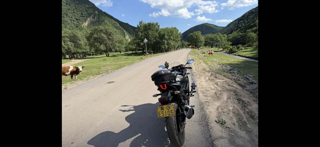 豪爵铃木 GSX250R
