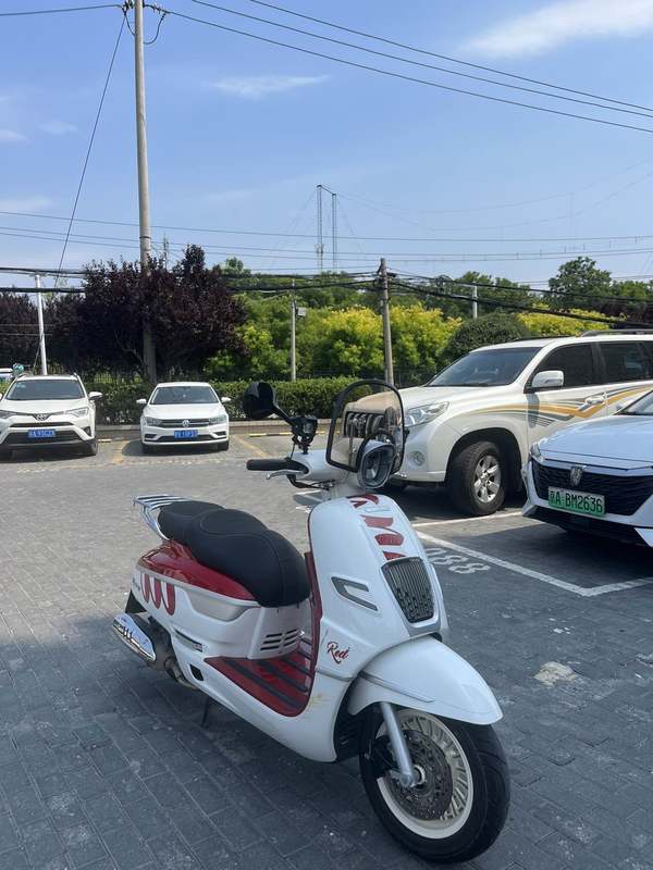 南方 梦拉丽莎 飞戈150