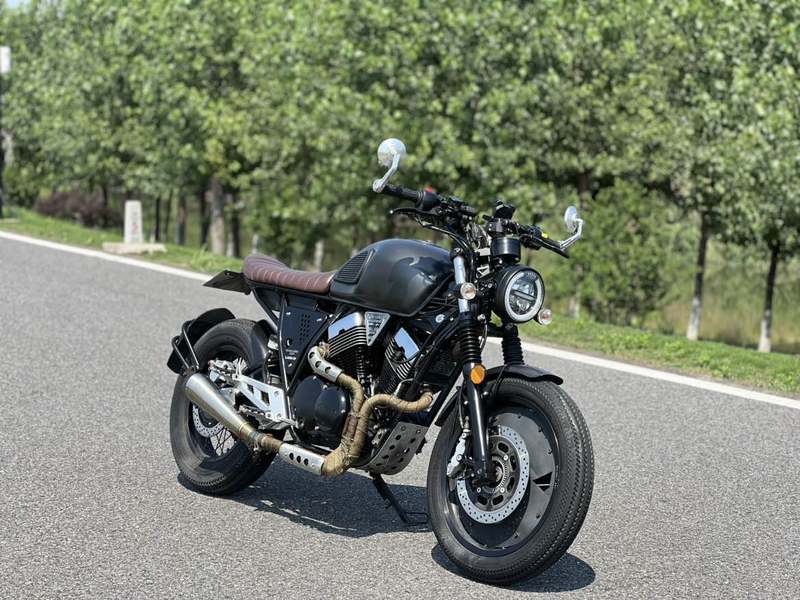 龙嘉 V咖250