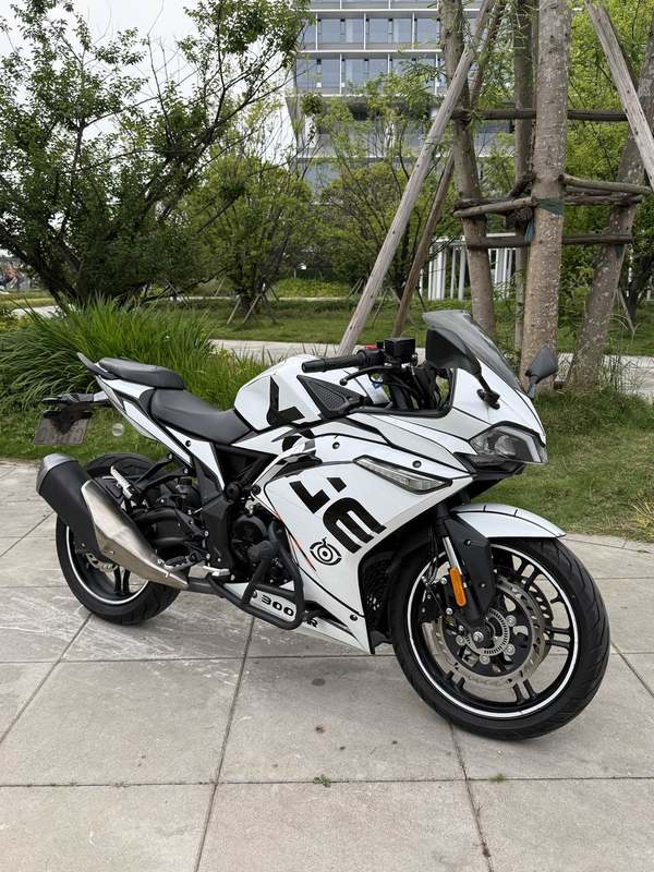 无极 300RR