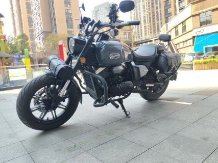 龙嘉 V霸250