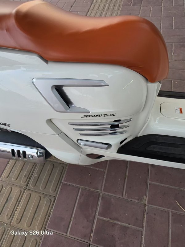 赛科龙 RT250E
