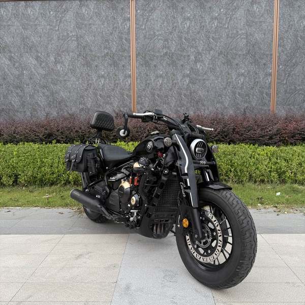 赛科龙 RA600