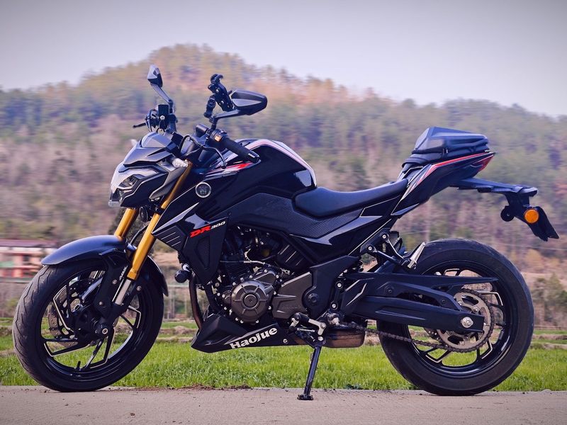 豪爵 DR300