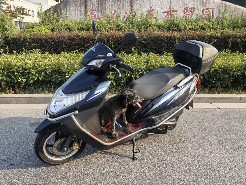五羊本田 Cruising 御鲨125