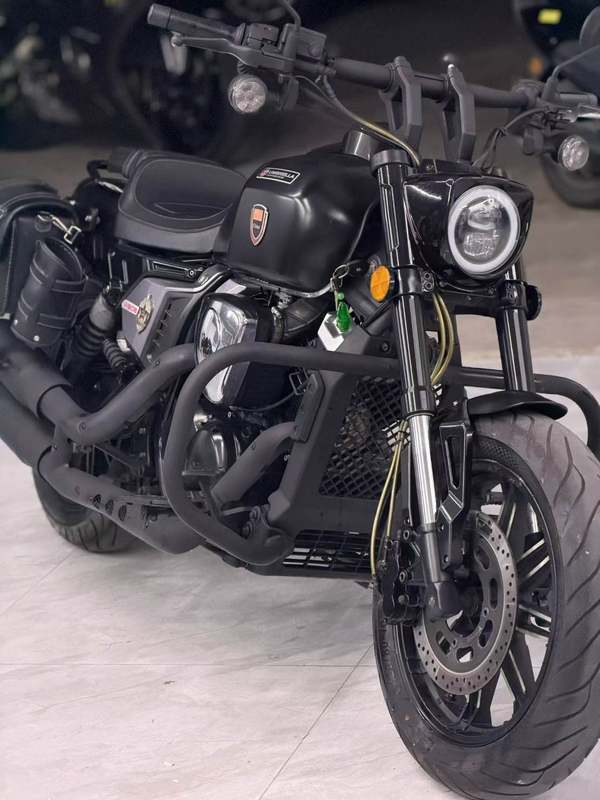 龙嘉 V霸250