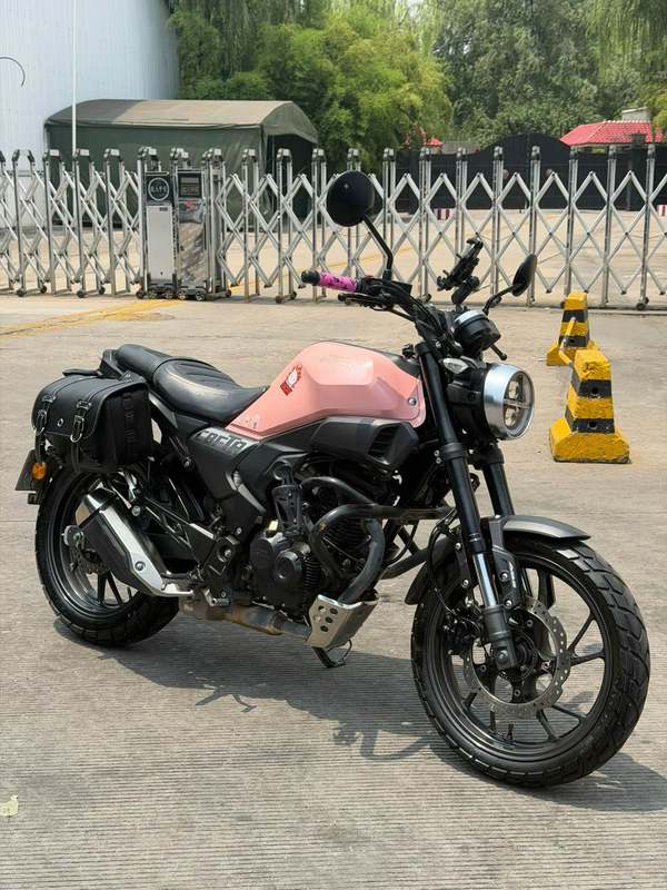 新大洲本田 CBF190TR