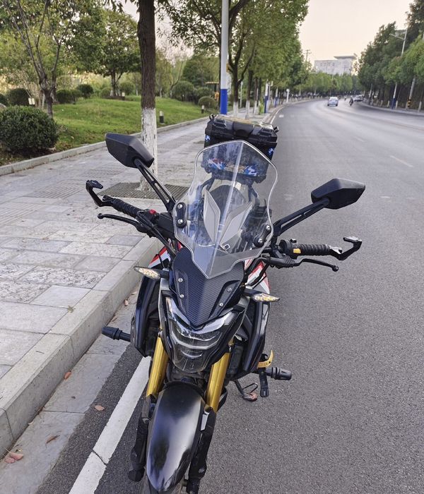 豪爵 DR300